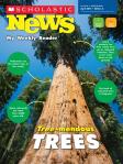 scholastic_news_redwoods